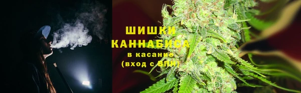 не бодяженный Богородицк